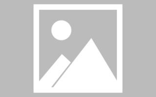 东营信息系统网页设计（信息系统网页设计主要包括）